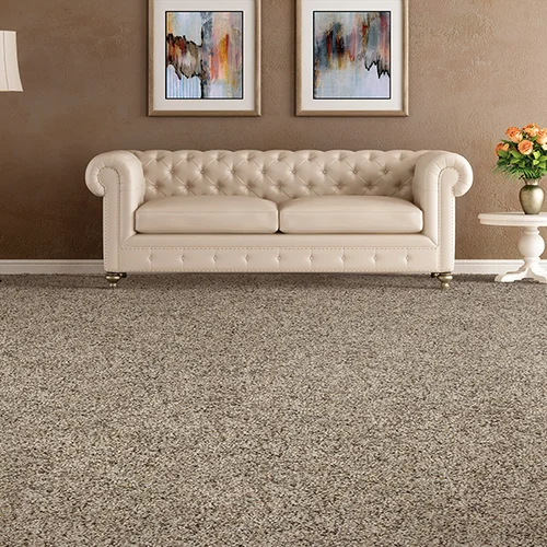 The Carpet Shoppe providing easy stain-resistant pet friendly carpet in Steamboat Springs, CO