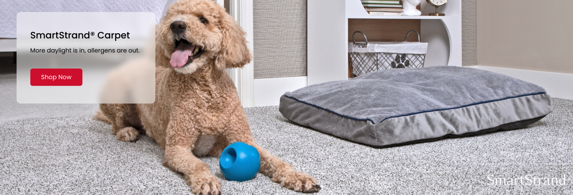 Browse Mohawk SmartStrand Products